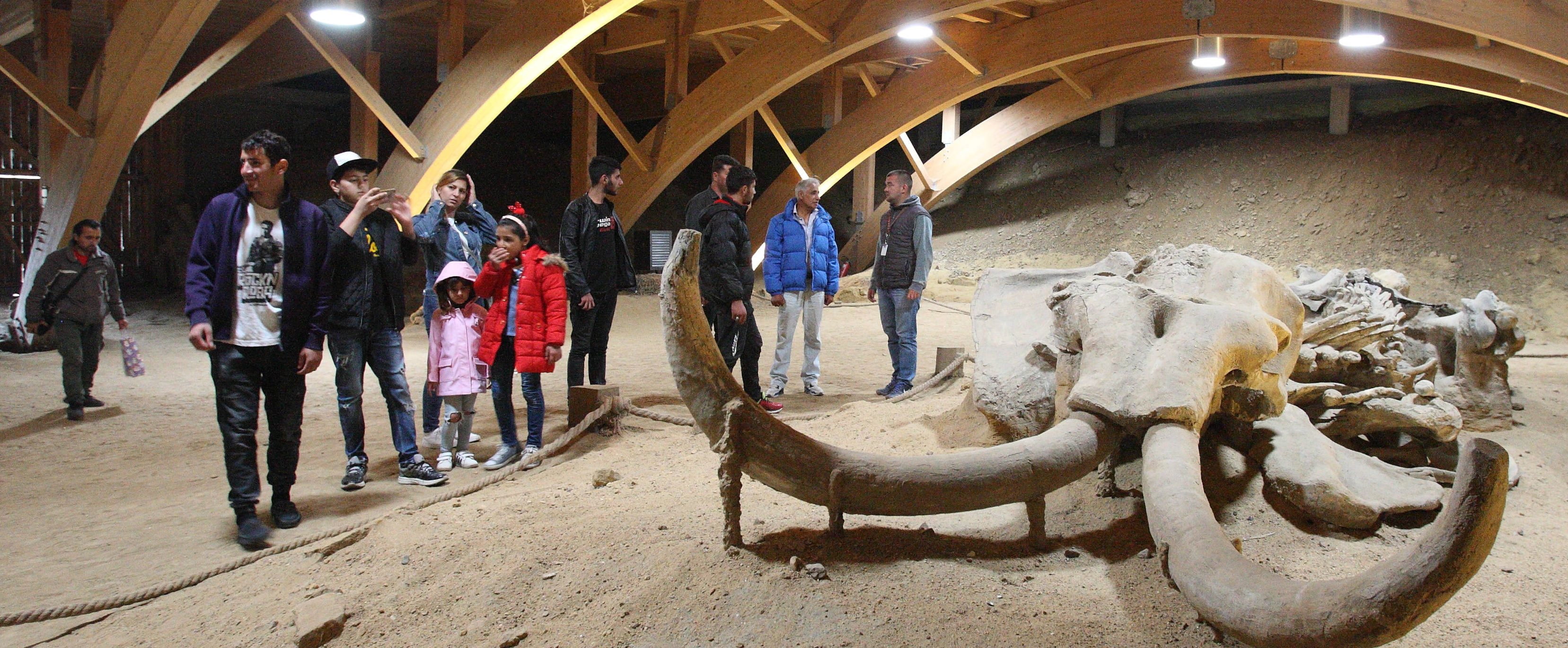 Migranti posetili arheološko nalazište i Zoološki vrt