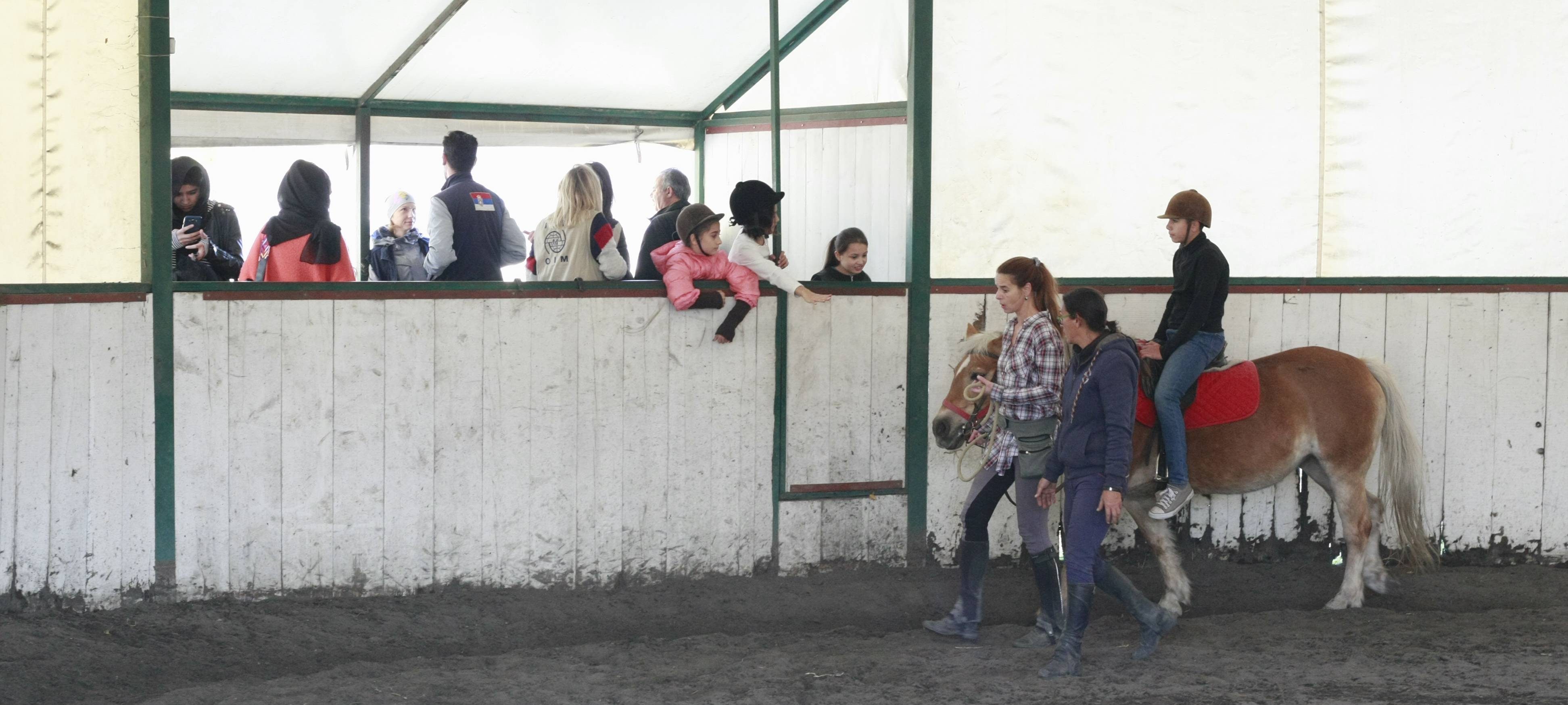 Migranti iz Centra za azil u Krnjači posetili Konjički klub u Beogradu